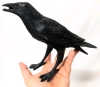 Fantastic As-New Crow with Lightbulb Accent Light | Crow measures 10" Long x 6.75" Tall - 3