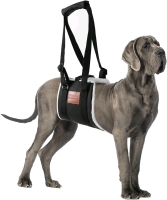 New in Open Box S-etovus Dog Sling for Back Legs, Dog Lift Harness, Size Medium Stock Photos Used