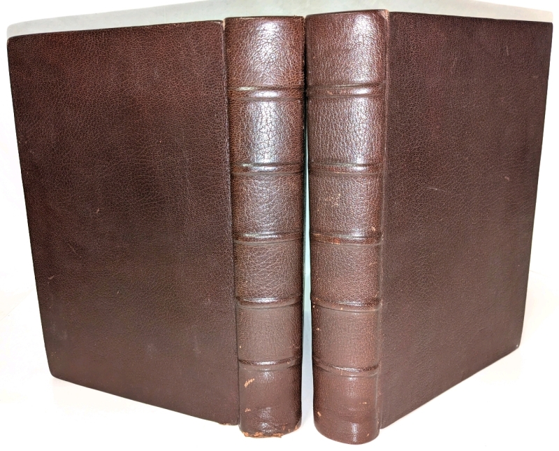 Antique 1893 | Volumes I & III | The Stones of Venice by John Ruskin, L.L.D. with Illustrations Drawn by the Author | George Allen, Sunnyside, Orpington & London