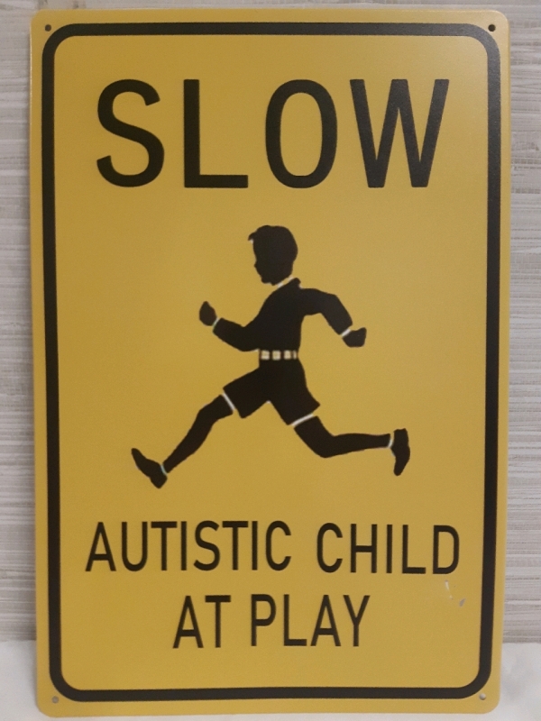 New | " Slow Autistic Child Play Area " Metal Hanging Wall Sign ( 8" x 12" )