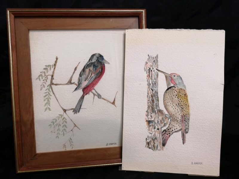 2 Water Colours - Birds - B. Harper