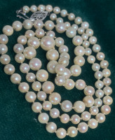 10K White Gold Clasp Vintage Pearl Strand