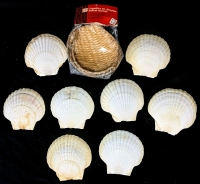 8 Large Vintage Sea Shells (5.5" Long) & Set of 4 Vintage Coquilles St Jacques Bamboo Basket Servers (6" x 6.5" )