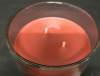 New Chesapeake Bay Candle Home Scents | Apple Cinnamon Scented Candle 19OZ * 6" Tall * - 2