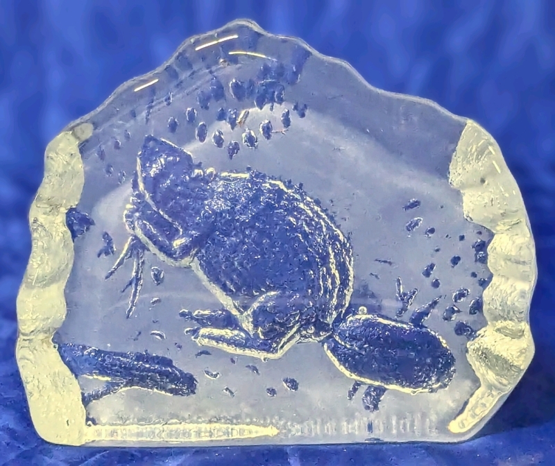 Vintage Kelonla Canada Frosted & Clear Glass Recessed Beaver Paperweight | 5" x 1" x 4" Tall