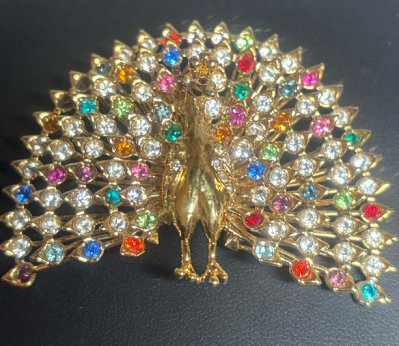 Amazing Large Peacock multi stone Glowing Brooch