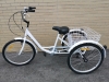 Adult 3-Wheel Trike Bike with Basket - 7 Speed - 2