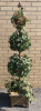 Decorative Faux Ivy Topiary Plant - 64" Tall & 14" Wide