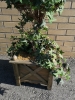 Decorative Faux Ivy Topiary Plant - 64" Tall & 14" Wide - 2