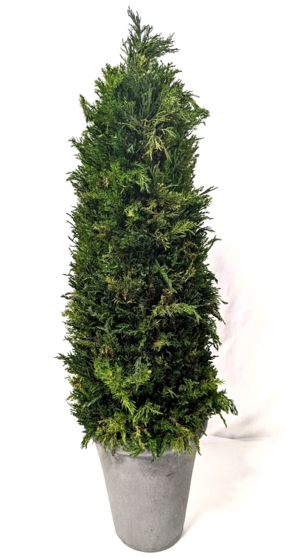 Realistic Artificial Evergreen Shrub in Pot | 25" Tall