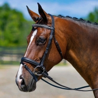 New Hulara Leather English Bridle Snaffle Horse Bridle - Noseband with Browband