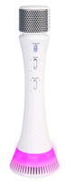 New | Singsation Delux 5-In-1 Karaoke System & Wireless Speaker ( Bluetooth Compatibility ) | Model # SPKA05