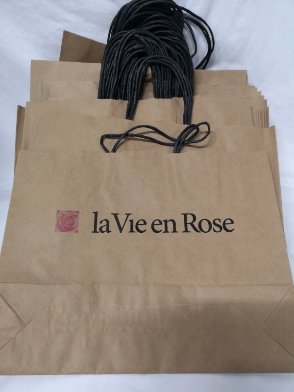 45+ New La Vie en Rose Paper Bags 15.25"x12"X4"