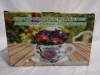New Cup and Saucer Planter Set by Details - 3