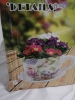 New Cup and Saucer Planter Set by Details - 4