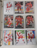 1971 - 2024 NHL Hockey Detroit Red Wings Trading Card Singles . 234 Cards , No Doubles - 8