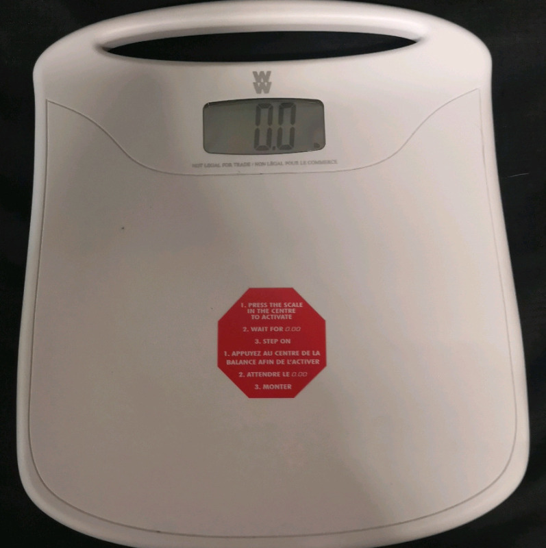 Bathroom Electronic Scale - Working - 12 by 13.75"