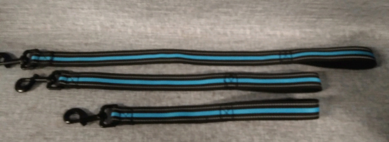 3 Close Control Leash 14-22"