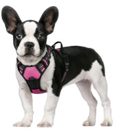 New rabbitgoo Dog Harness, No-Pull Pet Harness with 2 Leash Clips