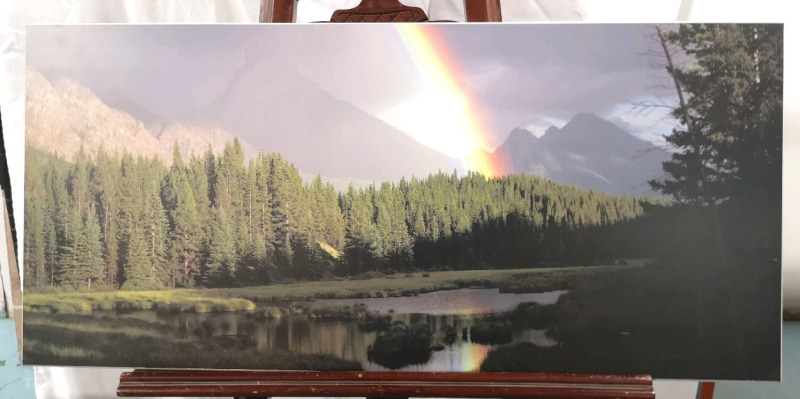 Plak-it Picture Rainbow - 35" by 16"