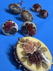 Vintage Cloisonné Earrings Rhinestones Avon & Brooch - 5