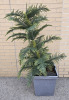 Outdoor Faux Plant With Plastic Pot* Missing Some Folliage * ( 53" Tall ) - 2