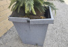 Outdoor Faux Plant With Plastic Pot* Missing Some Folliage * ( 53" Tall ) - 3