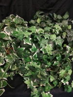 3 Artificial Plants in Baskets - Ivy