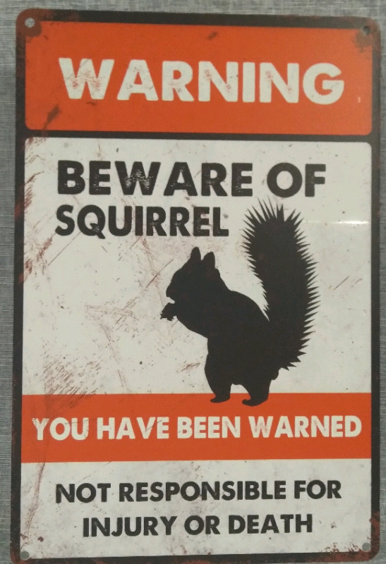 New "Warning Beware Of Squirrel" Metal Tin Sign 12x8"
