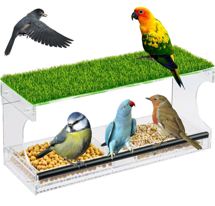 New | Petonline Window Bird Feeder / Outdoor Bird Feeder with Strong Suction Cups, Drain Holes for Rain & Removable Seed Tray | Clear Acrylic Outside Bird Feeder for Wild Birds With Transparent Viewing