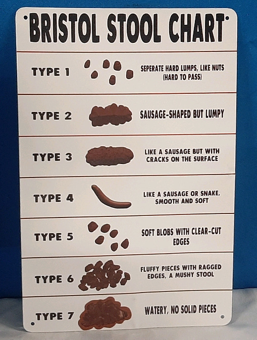 New Bristol Stool Chart Metal Sign - 12" X 8"