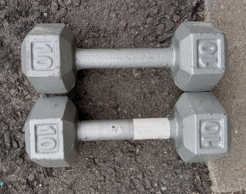 York 10 Pound Iron Dumbbells Set Of 2