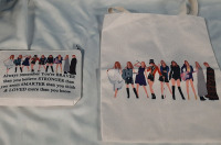 New Taylor Swift Eras Carry Bag + Make Up Bag