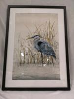 Great Blue Heron Print Framed