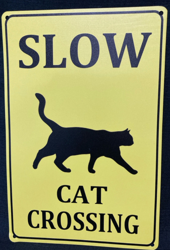 Slow Cat Crossing Metal Crossing