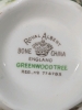 Colorful Vintage Royal Albert England "Greenwood Tree" Tea Cup & Saucer - 6