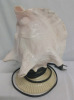 Vintage Conch Shell Light 7 1x4" Tall, Horn Carved A Eagle On Wooden Base 10" Tall - 7