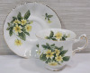 Paragon Flower Festival Cup & Saucer . Both Ring True . - 3