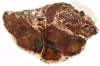 Very Large Polished Slice of Ancient Petrified Wood from Dobell Ranch, Arizona - 4