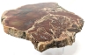 Very Large Polished Slice of Ancient Petrified Wood from Dobell Ranch, Arizona - 5