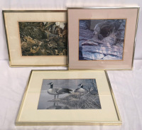 3 Vintage 1970's & 1980 Robert Bateman Wildlife Framed Prints - Bear, Bunny & Canadian Geese