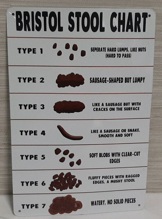 New Bristol Stool Chart Metal Sign - 12" X 8"