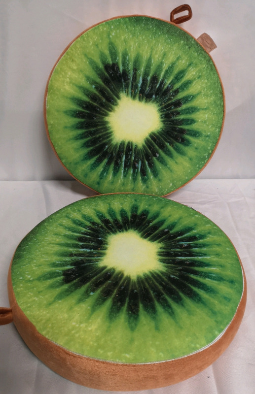 2 New 15" Kiwi Seat Cushions - 2.5" Thick