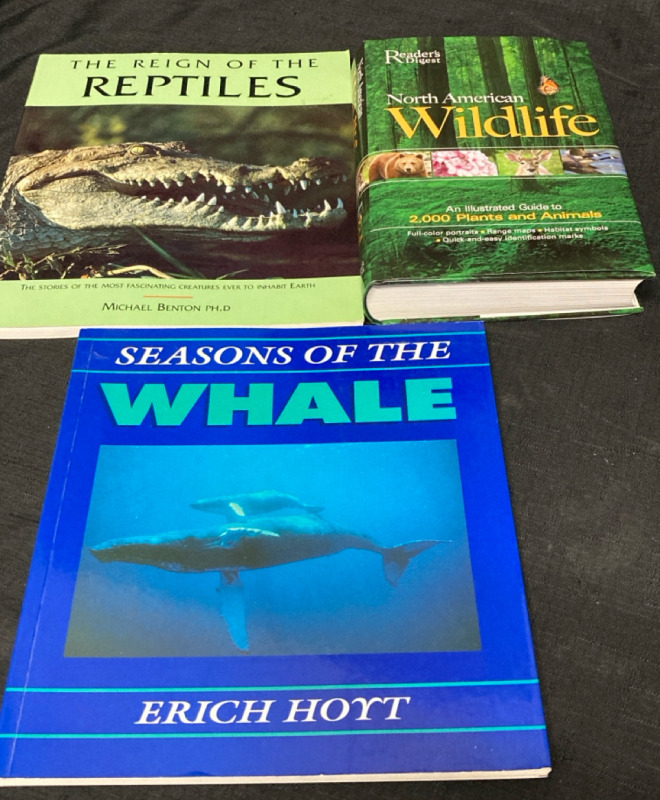 3 Book Lot of Wildlife Largest 11” L x 9” w x 11” ht