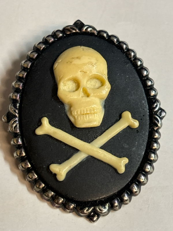 Modern Skull Cameo Brooch / Pendant