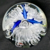 Stunning Large Murano-Style Art Glass Paperweight with Dolphins, Waterspout & Tropical Fish | 4.5" Tall - 2