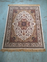 Beautiful Area Rug 47 by 68"