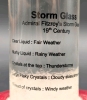 Admiral Fitzroy's Storm Glass Weather Forecaster | 19th Century | 7.15" Tall - 3