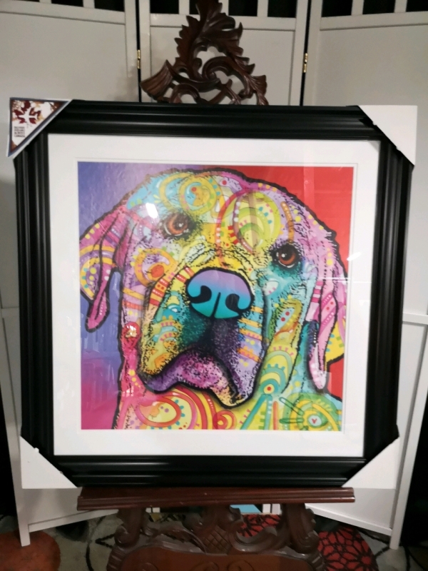 New Framed Starry Lab Print by Dean Russo
