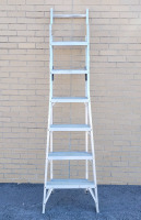 12ft Extension Ladder / 6ft Painters Ladder .